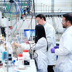 Tier 2 Vizesi Nedir Nas�l Al�n�r �artlar� Nelerdir